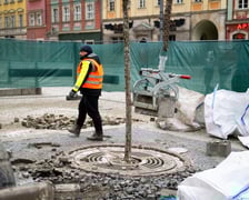 Prace w Rynku przy rozbiórce zabrukowanych nawierzchni - przygotowanie do nasadzeń nowych drzew.