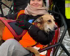 Trening Watahy Domowych Wilków z Wrocławia