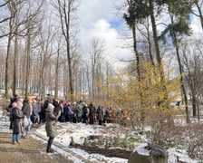 <p>Arboretum Wojsławice otwarte w weekend 13-15 lutego &ndash; wiele roślin właśnie teraz rozkwita</p>