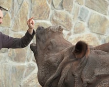 <p>Marusia z opiekunem, Maciejem Okupnikiem</p>