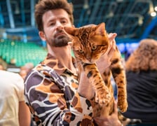 Cat Show Wrocław w Hali Orbita we Wrocławiu, 7 marca 2026
