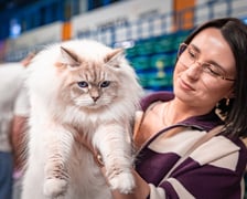 Cat Show Wrocław w Hali Orbita we Wrocławiu, 7 marca 2026