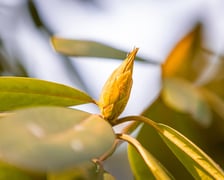 Ogród Botaniczny we Wrocławiu, 8 marca 2026