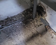 Azyl Ekostraży przy ul. Miłoszyckiej 67 we Wrocławiu pilnie potrzebuje remontu. Pierwszy etap już sie rozpoczął