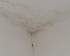 Azyl Ekostraży przy ul. Miłoszyckiej 67 we Wrocławiu pilnie potrzebuje remontu. Pierwszy etap już sie rozpoczął