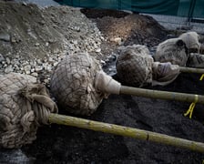 Kolejna partia drzew dotarła na Rynek, 19.03.2026 r