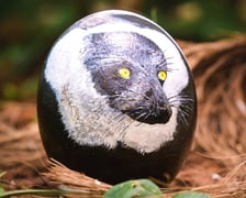 <p>Jajo przygotowane prze Jacka Jerzmańskiego</p>