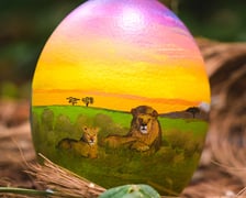 <p>Jajo przygotowane przez Weronikę Łysek</p>