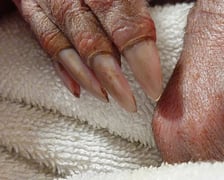 Mrównik z wrocławskiego zoo