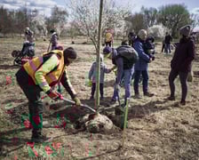 <p>Piknik WROśnij we WROcław w 2025 roku.</p>