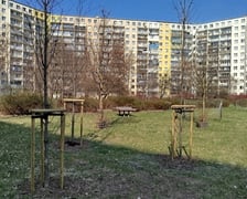 Wiosenne nasadzenia drzew i krzewów