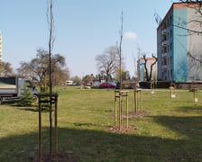 Wiosenne nasadzenia drzew i krzewów