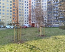 Wiosenne nasadzenia drzew i krzewów