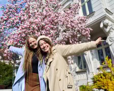 Zjawiskowa magnolia rosnąca przy zabytkowej kamienicy przy Podwalu.