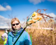 Akcja Czysta Odra, Wrocław, 8 kwietnia 2026, okolice Kładki Zwierzynieckiej