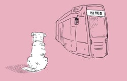 Jak pojedzie tramwaj na Psie Pole? [KONSULTACJE SPOŁECZNE]