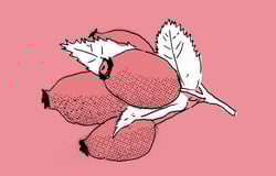 Jaki będzie Park Wojnowski? [KONSULTACJE SPOŁECZNE] 