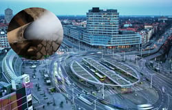 Strefa Czystego Transportu we Wrocławiu. Fakty i mity 