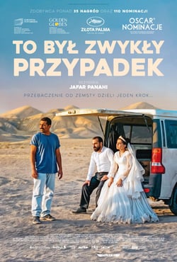 Plakat filmu To był zwykły przypadek
