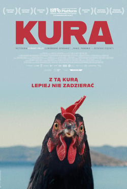 Plakat filmu Kura