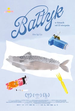 Plakat filmu Bałtyk