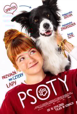 Plakat filmu Psoty