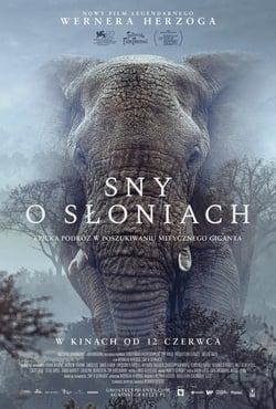 Plakat filmu Sny o słoniach