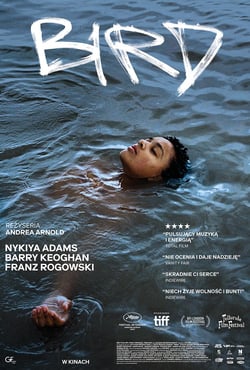 Plakat filmu Bird