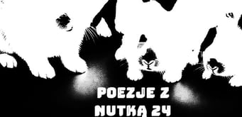 Poezje z Nutką... 24: "...Zbiera swe żniwo każdego dnia..."