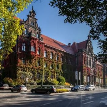Warsztaty dla dzieci „Wieczór z modną czarownicą Teklą” w MNWr [Noc Muzeów 2025]