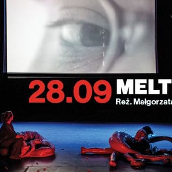 Spektakl „Meltdown” w reż. Małgorzaty Lech w ramach teatru na Faktach