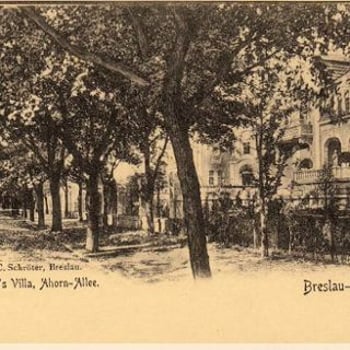 Borek i jego dawni mieszkańcy [spacer z przewodnikiem]