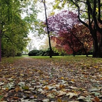 Nekropolie dawnego Wrocławia: Park Andersa i okolice ulicy Ślężnej