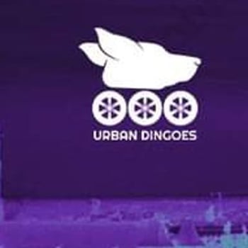 Urban Dingoes Nightskating Wrocław