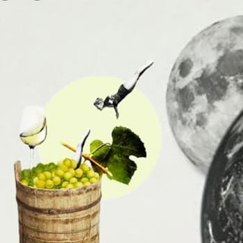 Degustacja win biodynamicznych: ZUCCA x CHAMPANERIA | La Voce Della Luna