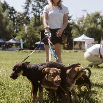 V Piknik Adopciaka GRUPY RATUJ