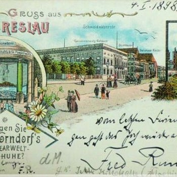 Historia Borka i jego mieszkańcy – przemysłowcy [spacer z przewodnikiem]