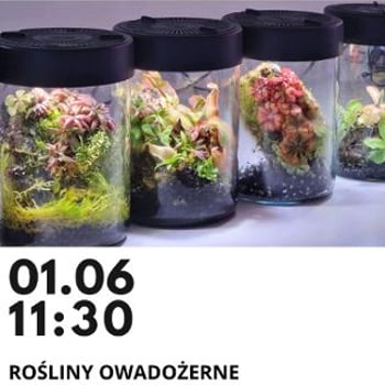 Rośliny owadożerne – terrarium warsztaty dla dzieci i dorosłych