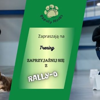 Zajęcia Rally-O – nauka i zabawa z Twoim psem! | Trening otwarty