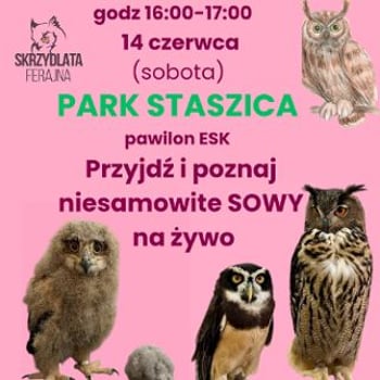 Spotkanie z sowami w Parku Staszica