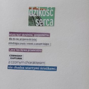 Kontury Kultury. Wystawa Anny Andrusyszyn „Dzikość serca” oraz warsztaty z kolażu [Noc Muzeów 2025]