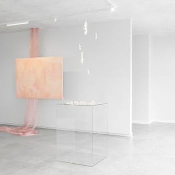 Anna Maria Zuzela „The Burden of Affirmation” [wystawa]
