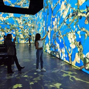 Exhibition: Van Gogh Multi-Sensory Exhibition in Wroclaw