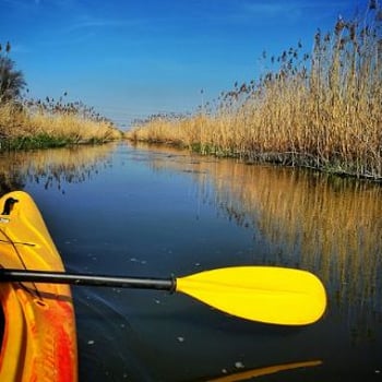 Spływ kajakowy rzeką Widawą z KayakTours.pl