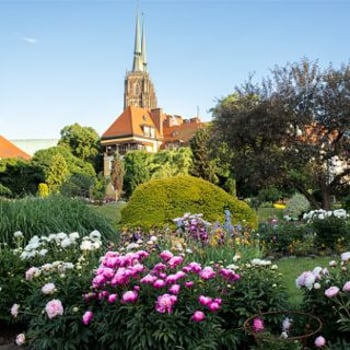 Festiwal Tulipanów w Ogrodzie Botanicznym we Wrocławiu