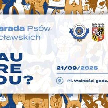 VI Parada Psów Wrocławskich