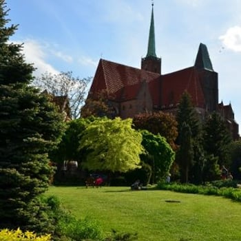 Noc Muzeów 2024 – Ogród Botaniczny Uniwersytetu Wrocławskiego