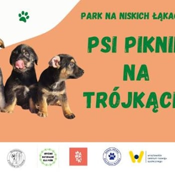 Psi Piknik na Trójkącie