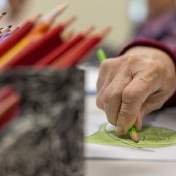 Malowanie wspomnień [Wrocławskie Dni Seniora 2025]