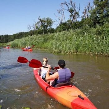Spływ rzeka Widawa – trasa Sołtysowice-Las Rędziński z KayakTours.pl